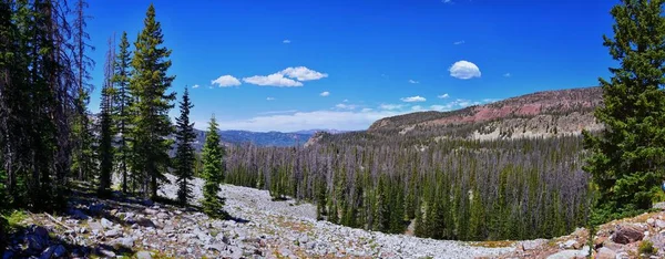 レイク キューベルデンシャル ハイキング トレイルパスレイク トレイルヘッド ユタ州 アメリカ からユータ山脈にあるボールド マウンテン マーセルと池 — ストック写真