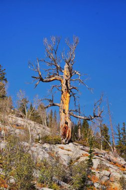Mary Martha Gölü ve Catherine yürüyüş yolu Brighton 'un Great Western Trail' indeki Sunset Peak 'e sonbahar renklerine bakıyor. Rocky Dağları, Wasatch Cephesi, Utah. Birleşik Devletler.