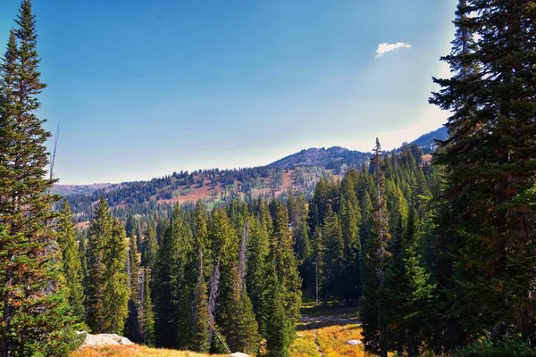 メアリー マーサ湖とキャサリン湖のハイキングトレイルからの眺めブライトンのグレート ウェスタン トレイルのサンセット ピーク 秋の色 ロッキー山脈 ウォッチフロント ユタ州 アメリカ合衆国 — ストック写真