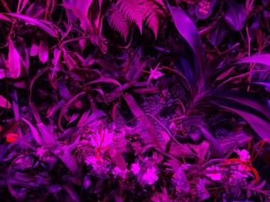 Yaratıcı bitki grafikleri afiş için harikadır. Soyut sebze arka planı. Grafiksel modern desen.