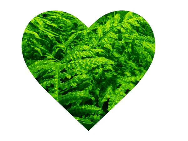 Mekanik Kalp Grafikler Yaratmak Için Harikadır Yeşille Dolu Bir Kalp — Stok fotoğraf