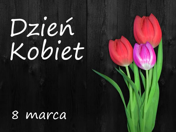Frauentagskarte Mit Dem Polnischen Wort Tag Der Frauen Blume Tulpe — Stockfoto