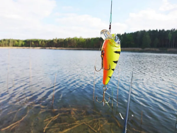 Mycket Färgglada Fiskagn — Stockfoto