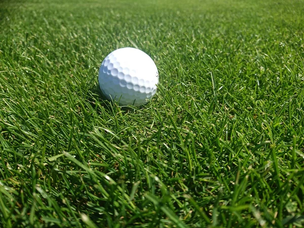 Golfbal Een Grazige Golfbaan Een Mooie Zomerdag — Stockfoto