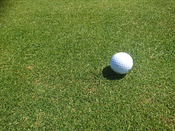 Golfbal Een Grazige Golfbaan Een Mooie Zomerdag — Stockfoto