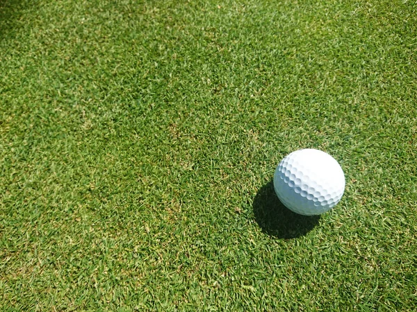 美しい夏の日に芝生のゴルフコースでゴルフボール — ストック写真