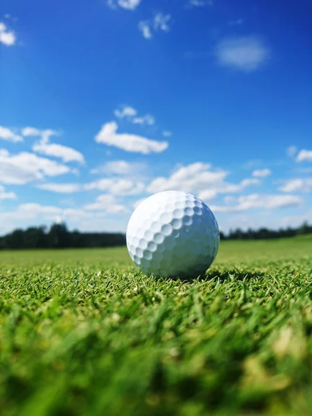 Golfboll Gräsbevuxen Golfbana Vacker Sommardag — Stockfoto