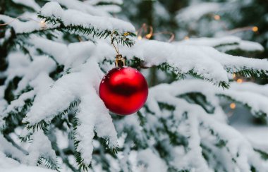 kış tatili ve dekorasyon konsepti - köknar ağacı dalı üzerinde kırmızı Noel top karla kaplı