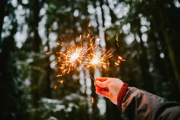 Havai fişekleri erkekler ver. Snowy orman arka plan. Kış
