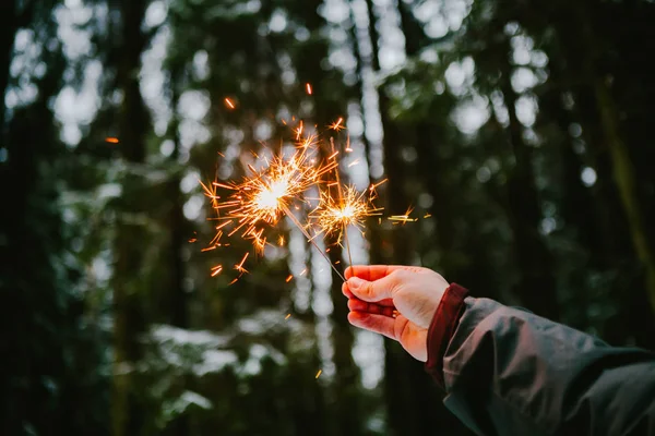 Havai fişekleri erkekler ver. Snowy orman arka plan. Kış