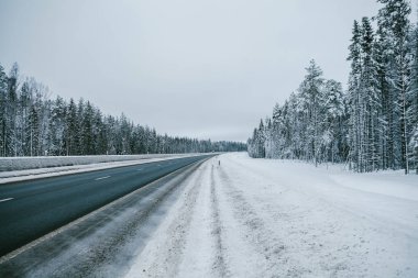 Kış ormanı boyunca yol