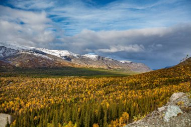 Sonbahar ormanı, dağlar ve beyaz bulutlu mavi gökyüzü..