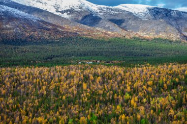 Sonbahar ormanı, dağlar ve beyaz bulutlu mavi gökyüzü..
