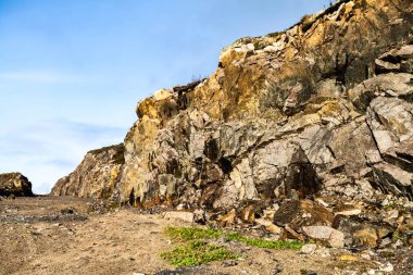 Barents Denizi kıyısındaki kuzey kayalıkları. Rusya