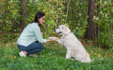 Kız, Golden Retriever 'ın köpeğiyle çimlerin üzerinde oynuyor. Köpek eğitimi, takım performansları..