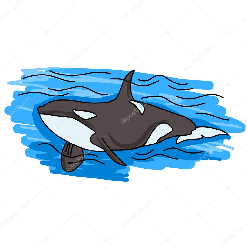 Orca Killer Whale logo illustration