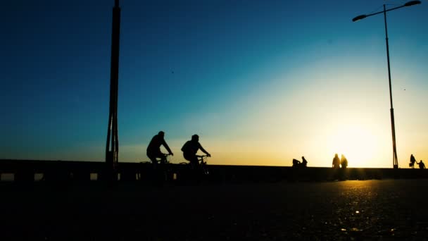 Silhouetten van fietsers rijden in het park bij zonsondergang — Stockvideo