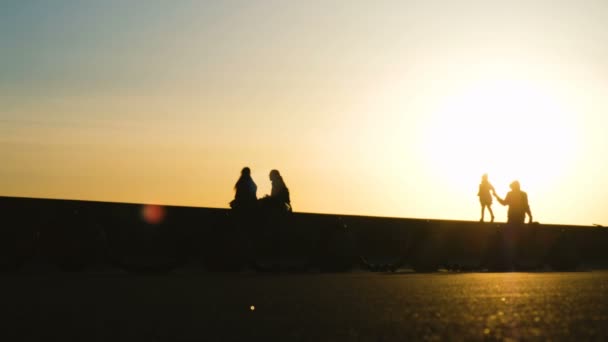 Silhouetten van de vader met zijn dochter gaan naar de kapper in het park bij zonsondergang, het concept van goede en plooibaarheid — Stockvideo