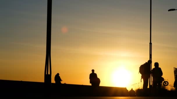 Silhouette di una famiglia con bambini in bicicletta in un parco al tramonto — Video Stock