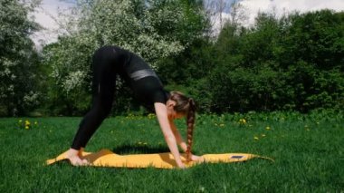 Isınma köpek namlu asana yoga mat doğa parkında aşağı yaz, ağır çekim yaparken kız