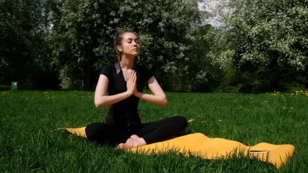 Hermosa joven medita en posición de loto en la naturaleza — Vídeos de Stock