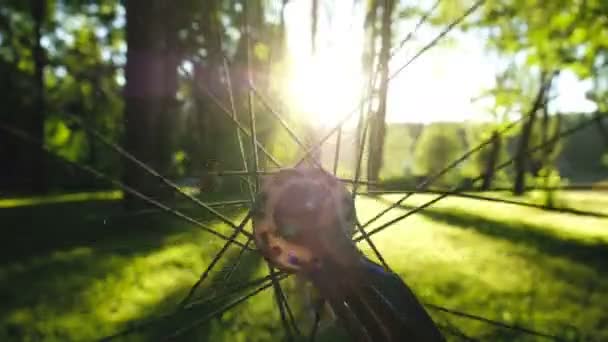 Roda de bicicleta gira contra o pôr do sol, o sol brilha através dos raios de perto — Vídeo de Stock