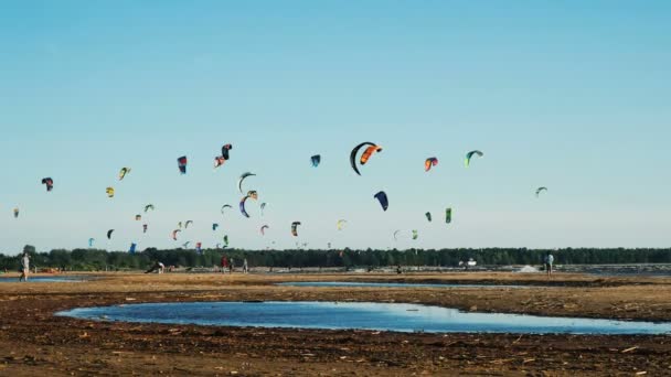 Kitesurf sport sur la mer au coucher du soleil — Video