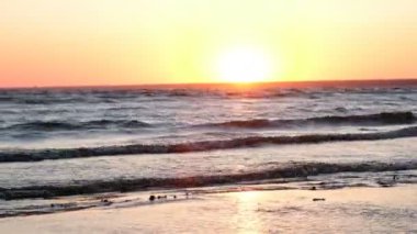 Kitesurfer çerçevede Gün batımında kumsal dalgalar deniz yıkama