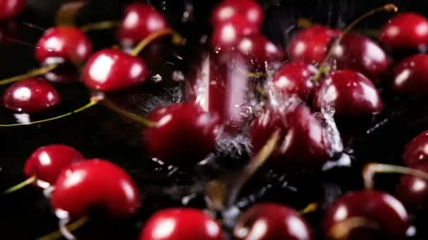 Cherries berries fall on the water on a black background, slow motion — Stock Video