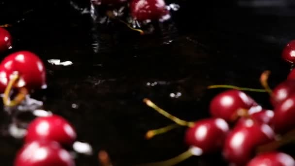 Su ve sıçrama üzerinde siyah bir arka plan karşı ağır çekim kiraz meyveleri düşmek — Stok video