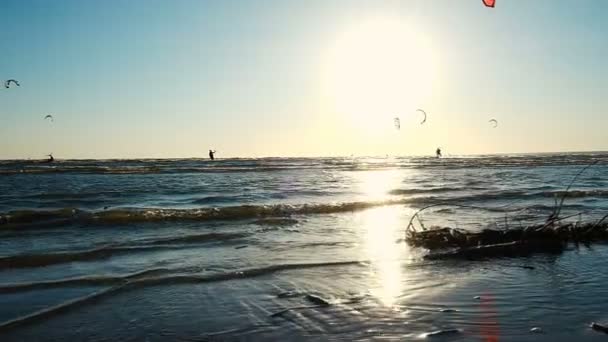 Kitesurfing w lecie na morzu przy wietrznej pogodzie o zachodzie słońca. Ruch kamery wzdłuż wybrzeża, zwolnionym tempie — Wideo stockowe