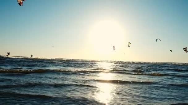 Kitesurfing w lecie na morzu, ekstremalne odpoczynku. Ruch kamery wzdłuż wybrzeża, zwolnionym tempie — Wideo stockowe