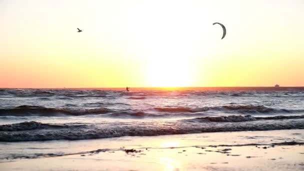 Kitesurfers jezdit na moře v létě pozadí slunce, pomalý pohyb — Stock video