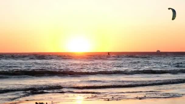 Sylwetka kitesurfer w morze o zachodzie słońca latem z bliska — Wideo stockowe