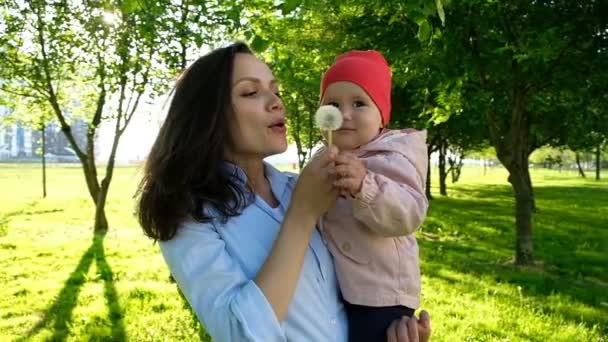 Donna di famiglia di razza mista e bambino che soffia un dente di leone sulla natura al tramonto. Mamma felice che tiene in braccio un bambino, rallentatore — Video Stock