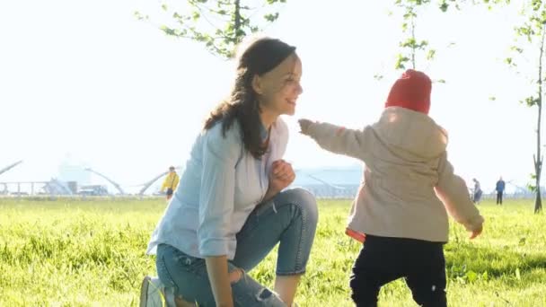 Mother and child are sniffing plants. Happy young family walking in the park — Stock Video