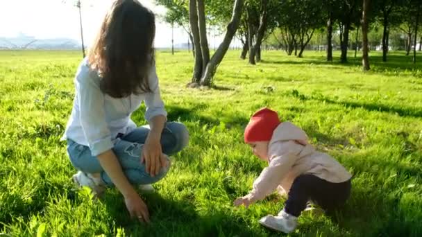 Das kleine Kind versucht, auf die Beine zu kommen und den ersten Schritt zu tun. glückliche junge Mutter mit Baby sitzt im Park auf dem Gras — Stockvideo