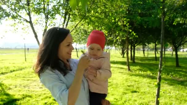 Família feliz brincando com uma folha no parque ao pôr-do-sol. Mãe segurando seu bebê em seus braços na natureza, maternidade alegre . — Vídeo de Stock