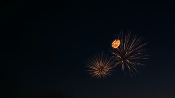 Fuochi d'artificio durante la vacanza di giorno di città, grandi scoppi di fuochi d'artificio sul cielo notturno. Fuori fuoco — Video Stock