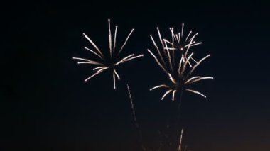 Şehrin gün tatil, üzerinde havai fişek selam gece gökyüzü üzerinde büyük patlamaları