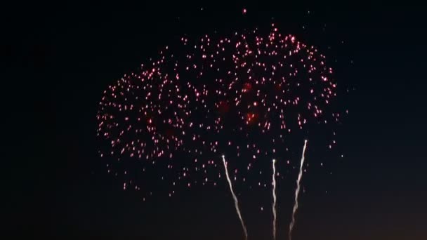 市の休日、敬礼の大きなバーストの花火. — ストック動画
