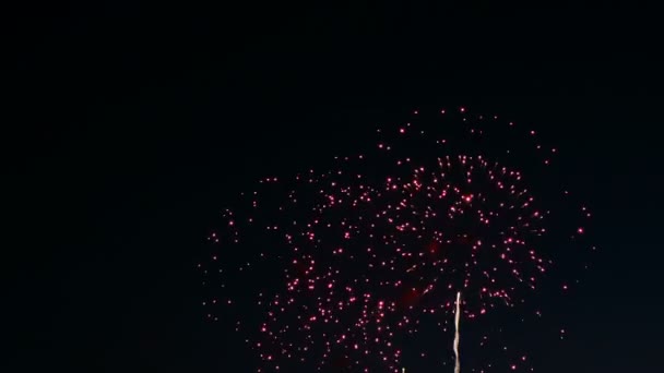 A város napi ünnep az éjszakai égbolton a tűzijáték — Stock videók