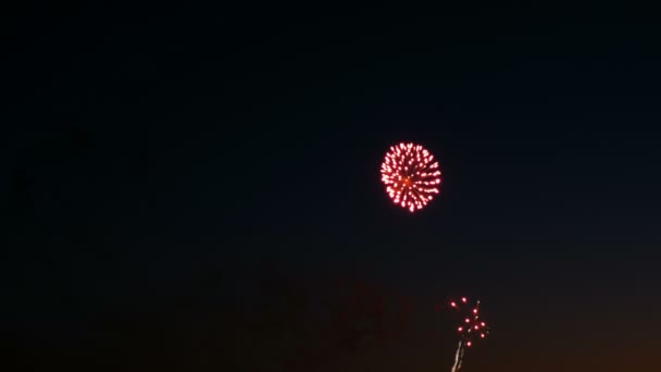 Beautiful fireworks on the city day holiday, big bursts of salute on the night sky — Stock Video