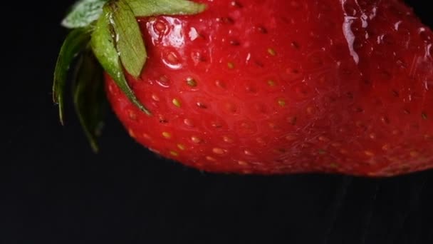 Splash of water on a strawberry close-up on a black background, slow motion. Water flows down the berry — Stock Video