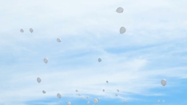 Vita ballonger med röda hjärtan flyga till himlen — Stockvideo