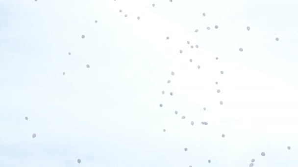 Balões brancos voam para o céu. Conceito de poluição do ar, a conclusão do festival — Vídeo de Stock
