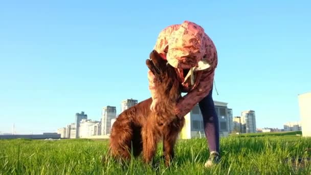 Jong meisje krassen hond. Grappige pet geniet en steekt zijn tong, slow-motion — Stockvideo