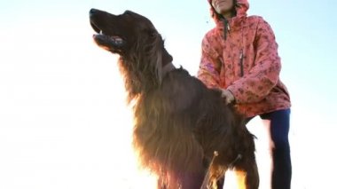 Genç kadın bir köpek bir yün karşı çizikler. Evde beslenen hayvan kadın, ağır çekim