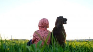 Sadık köpek hala kadın sahibi ile çim yaz aylarında gün batımında oturur. İrlandalı kanepe en iyi dostumdur