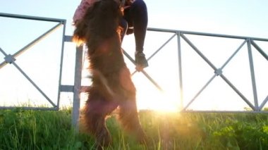 Kadın çizikler köpek günbatımı vasıl a evde beslenen hayvan arka ayakları üzerinde yükselir.